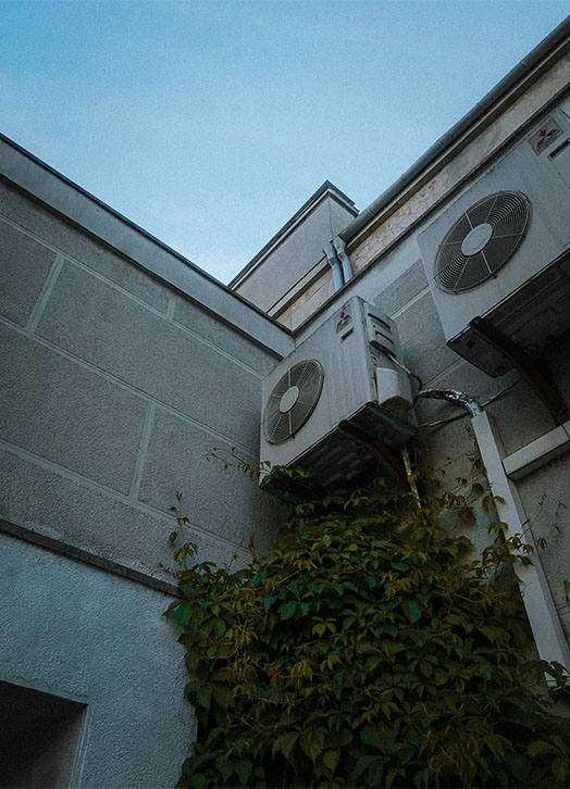 Two air conditioning units are mounted on a gray wall, partially obscured by vibrant green ivy against a clear blue sky.